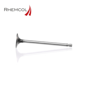 4895052 - Válvula de admisión CNH